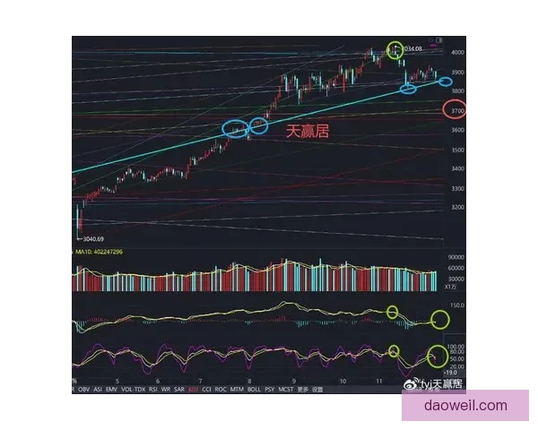 天赢居中金博客：揭秘投资界鲜为人知的财富密码